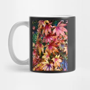 Fall Colors 2 Mug